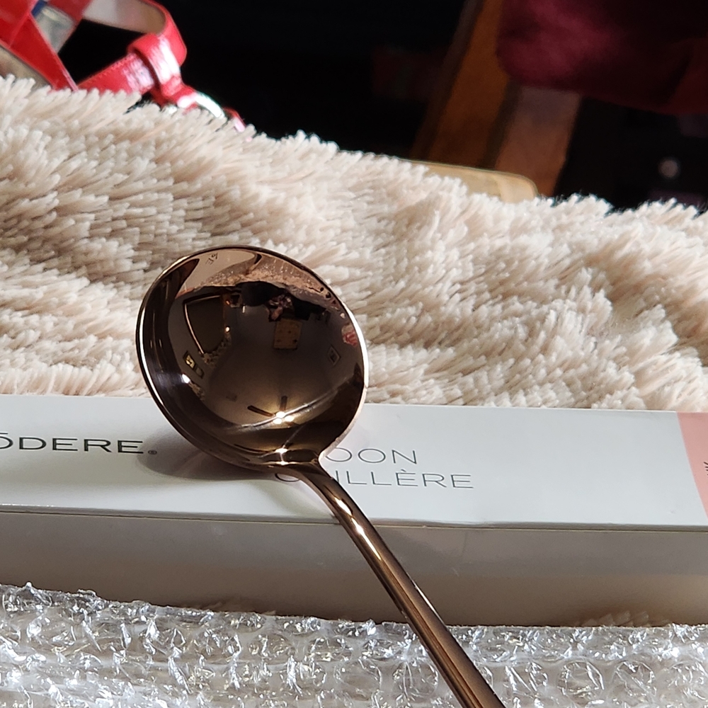Elegant Silver Spoon